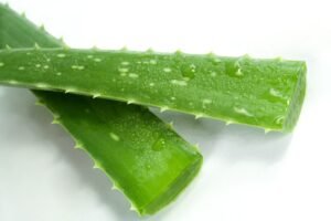 aloe, spa, green-3986306.jpg